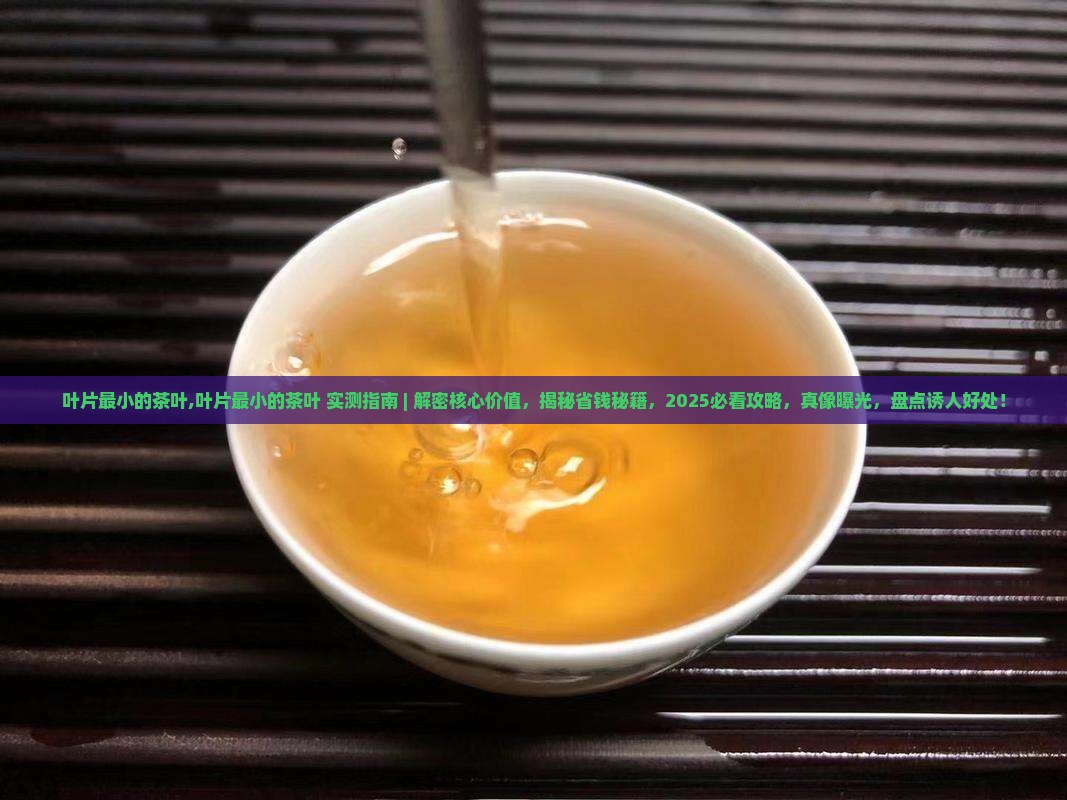 叶片最小的茶叶 叶片最小的茶叶
