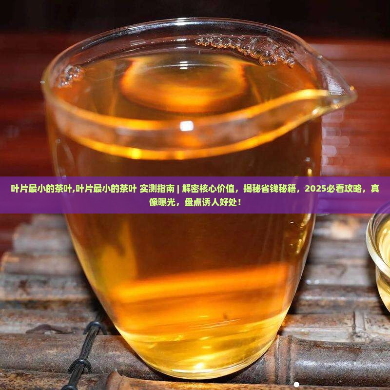 叶片最小的茶叶 叶片最小的茶叶