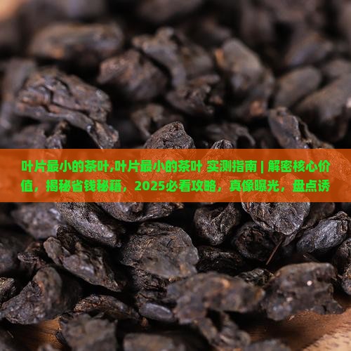 叶片最小的茶叶 叶片最小的茶叶