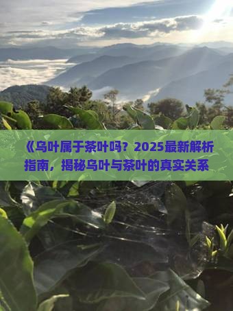 乌叶属于茶叶吗 乌叶属于茶叶吗