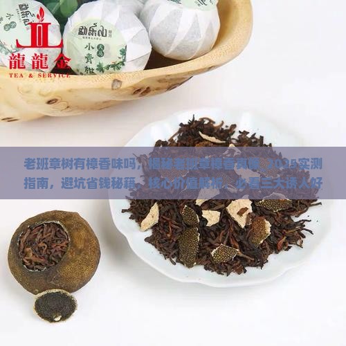老班章树有樟香味吗