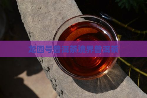 龙园号普洱茶境界