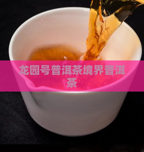 龙园号普洱茶境界