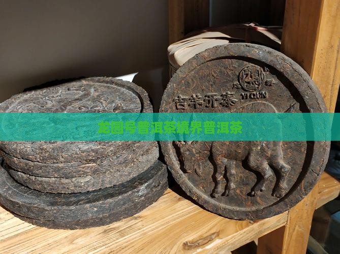 龙园号普洱茶境界