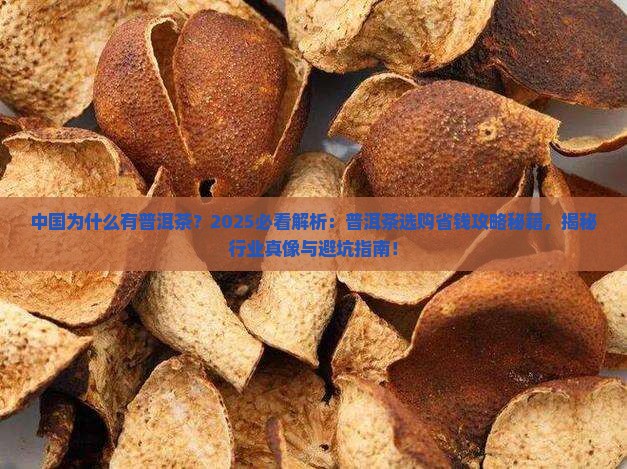 中国为什么有普洱茶 中国为什么有普洱茶