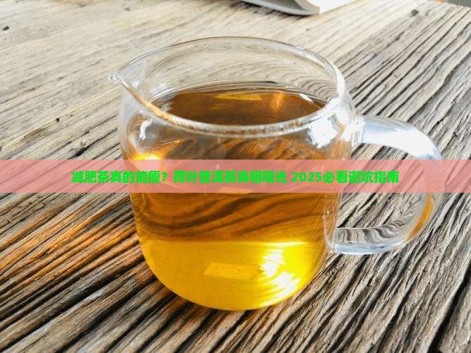 保健品减肥茶荷叶普洱茶