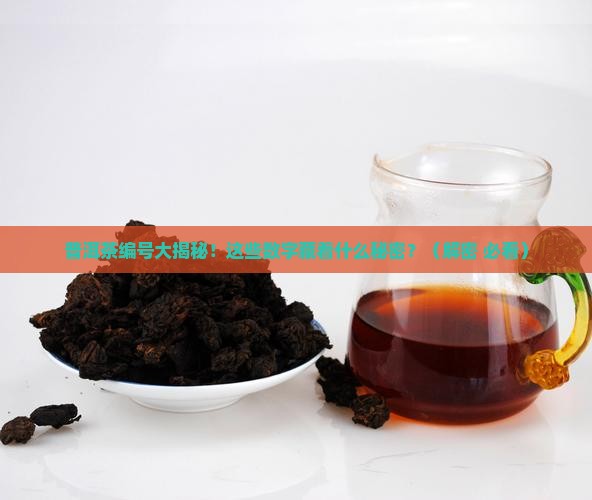 普洱茶有几种数字编号