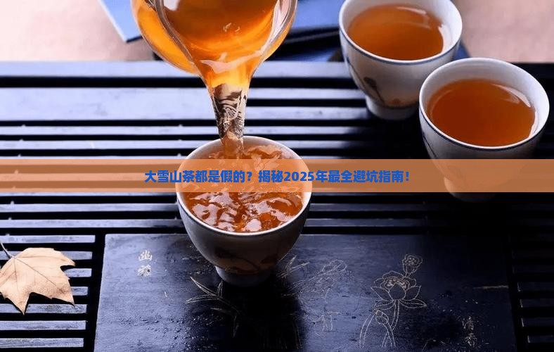 大雪山茶都是假的吗