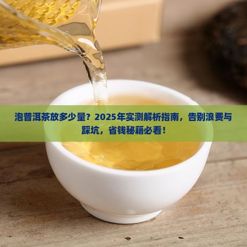 泡普洱茶放多少量