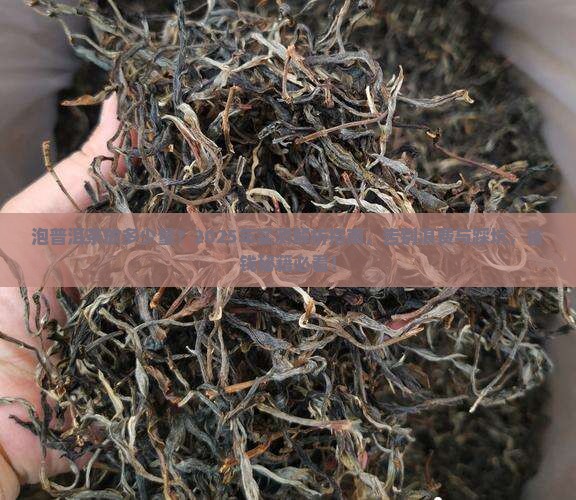 泡普洱茶放多少量