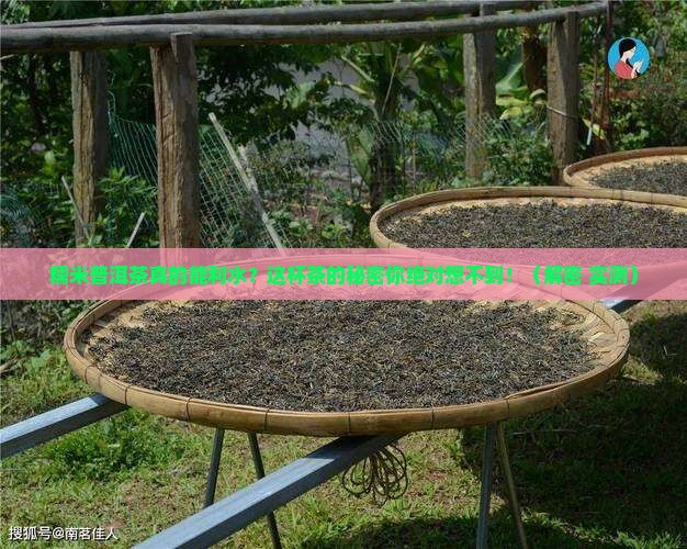 糯米普洱茶利水