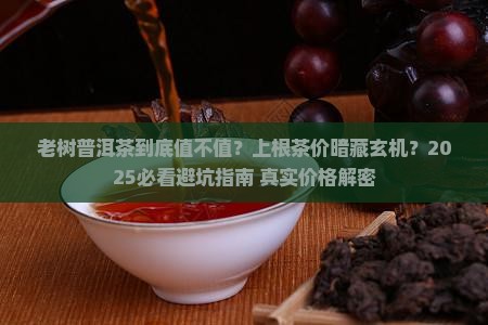 上根普洱茶价格老树