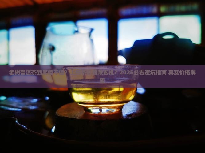 上根普洱茶价格老树