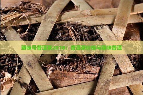 臻味号普洱茶2018