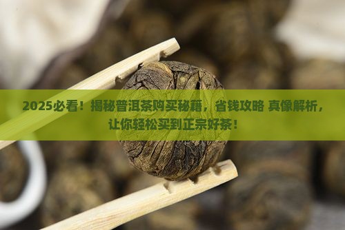 普洱茶哪里可以买到正宗