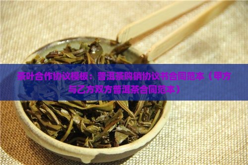 普洱茶合作协议