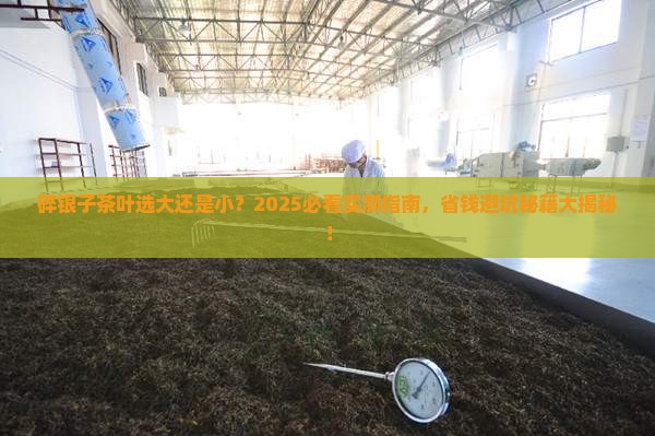 碎银子茶叶大的好还是小的好 碎银子茶叶大的好还是小的好