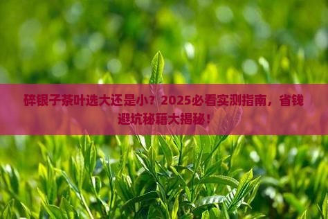 碎银子茶叶大的好还是小的好 碎银子茶叶大的好还是小的好
