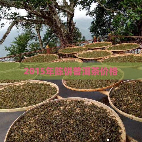 2015年陈饼普洱茶价格
