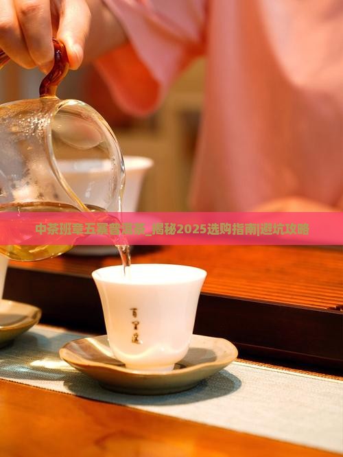 中茶班章五寨普洱茶