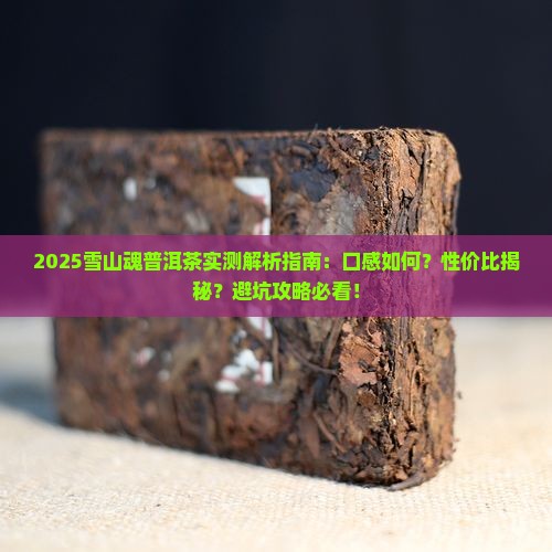 雪山魂普洱茶怎么样