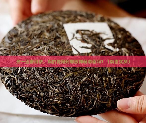 煮上一壶普洱茶发出阵阵清香