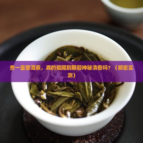煮上一壶普洱茶发出阵阵清香