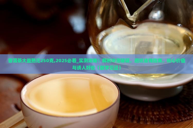 普洱茶大益熟沱250克
