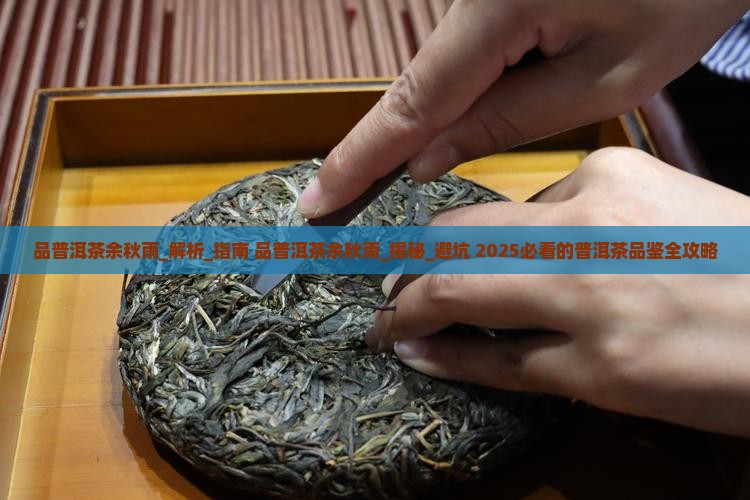 品普洱茶余秋雨