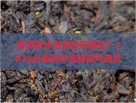 普洱茶冲泡秘密