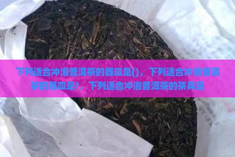 下列适合冲泡普洱茶的器皿是