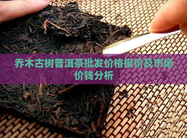 乔木古树茶的价钱