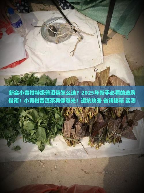 新会小青柑特级普洱茶