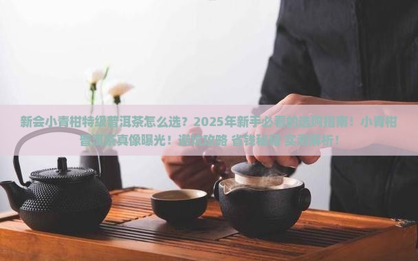 新会小青柑特级普洱茶