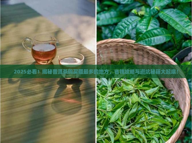 普洱茶购买藏最多的地方