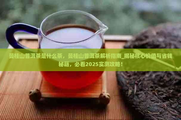 曼桂山普洱茶是什么茶