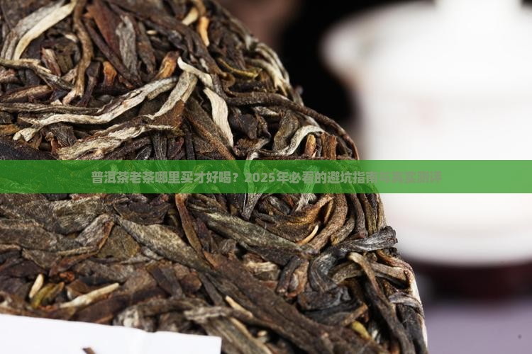 普洱茶老茶哪里买的好喝
