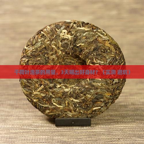 干荷叶泡茶的用量