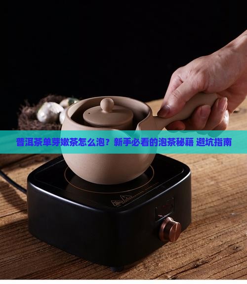普洱茶单芽嫩茶怎么泡