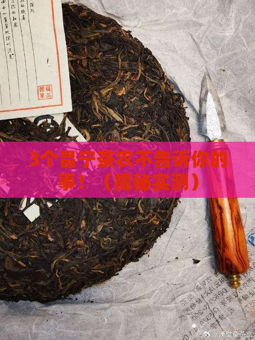 昌宁县的普洱茶