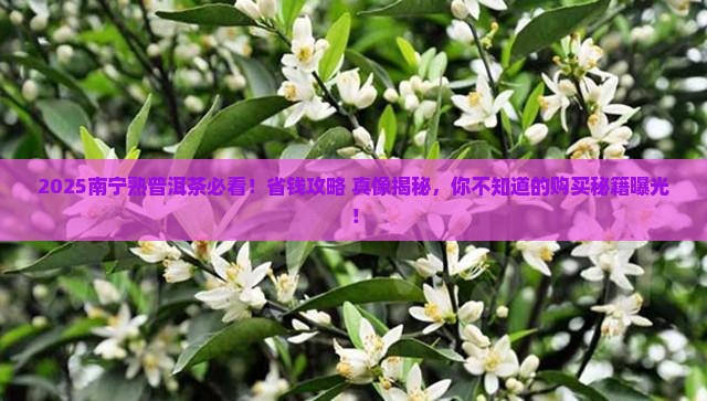 南宁熟普洱茶热线电话
