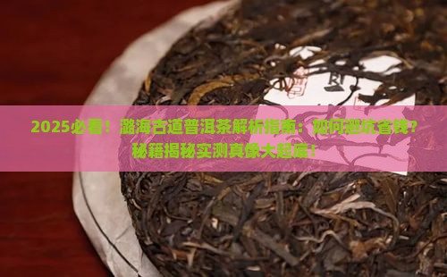 潞海古道普洱茶