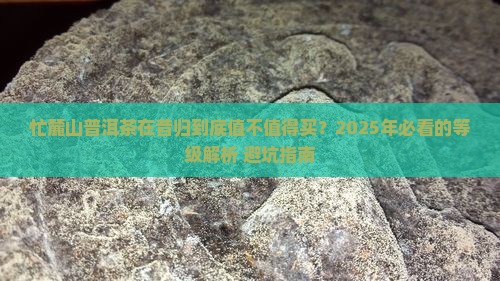 忙麓山普洱茶在昔归的等级