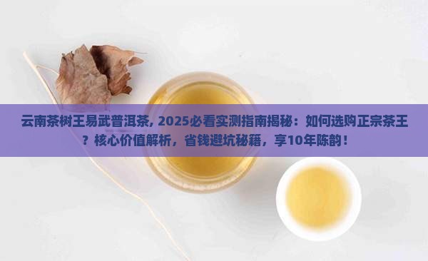 云南茶树王易武普洱茶