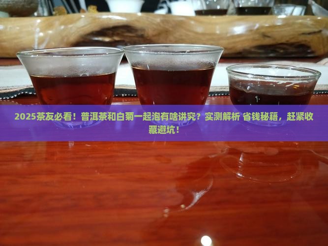 普洱茶和白菊能一起泡吗
