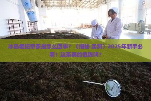 冰岛老班章茶是怎么回事