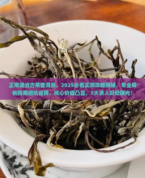 正宗澜沧古茶普洱茶