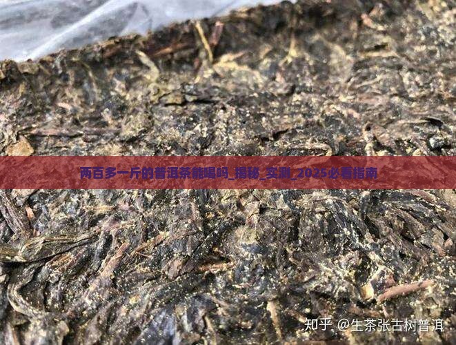两百多一斤的普洱茶能喝吗