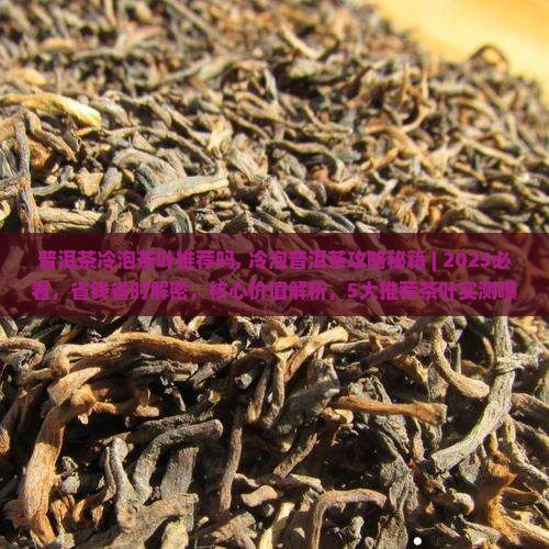 普洱茶冷泡茶叶推荐吗