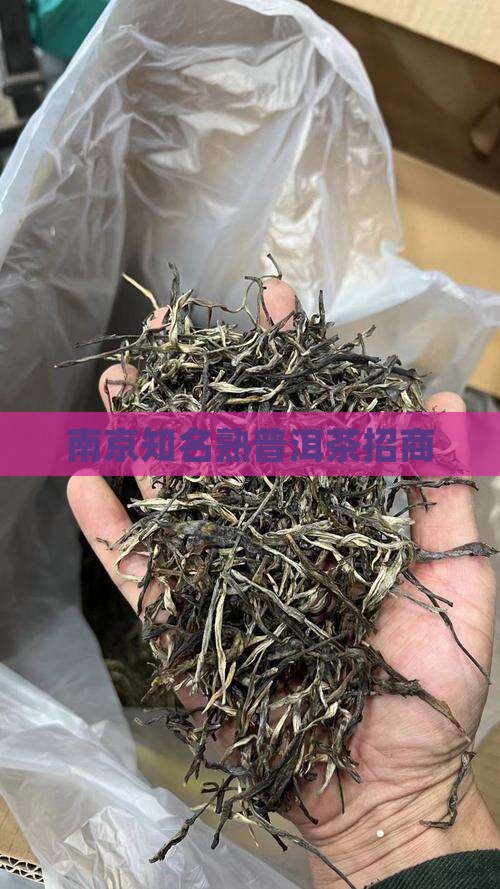 南京知名熟普洱茶招商